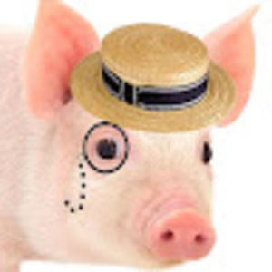 Meet your Posher, Professor